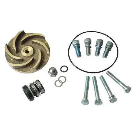 Dayton Dayton 21TG50 Pump Repair Kit for 2ZWR5, 2ZWR6 — product photo