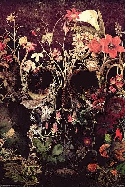 Bloom Skull Ali Gulec poster print 22 x 34 inches on heavy stock paper