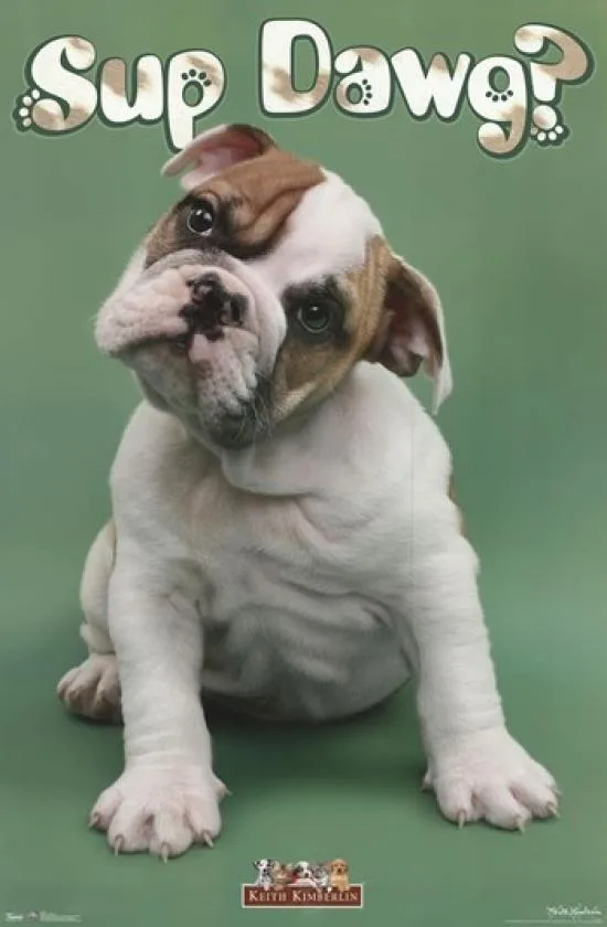 Puppy Sup Dawg poster print 24 by 36 inches on heavy paper