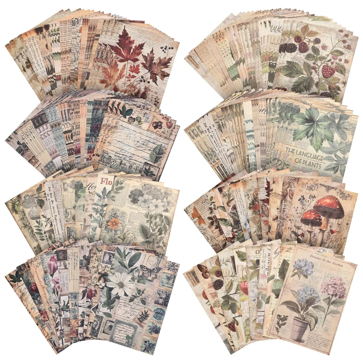 Stack of 120 A5 vintage botanical scrapbook sheets in box