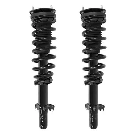 Unity front complete strut assembly kit, two silver struts with black springs and mounts