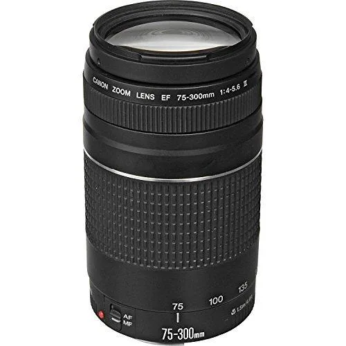 Canon International Canon EF 75-300mm f/4-5.6 III Telephoto Zoom Lens — product photo