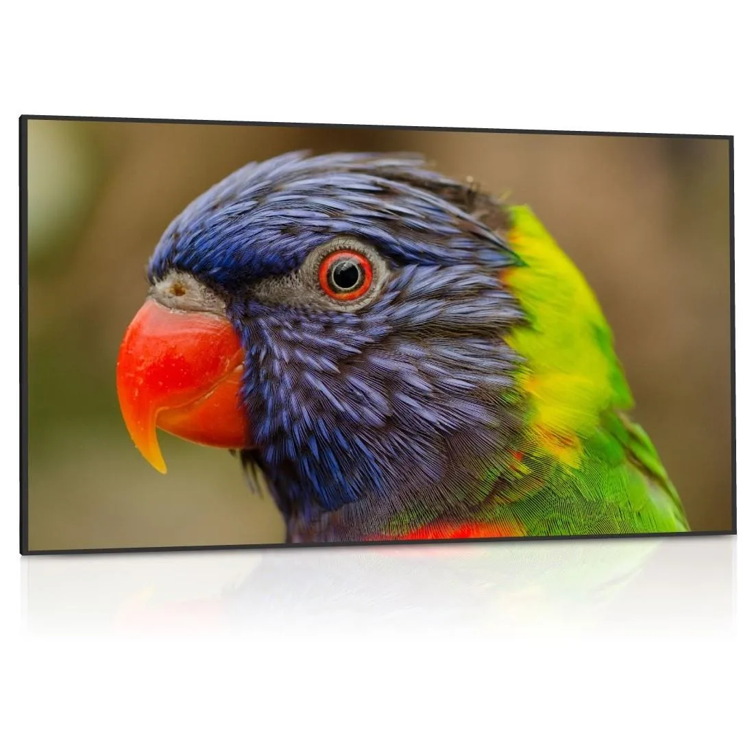 75 inch black commercial display with ultra narrow bezel