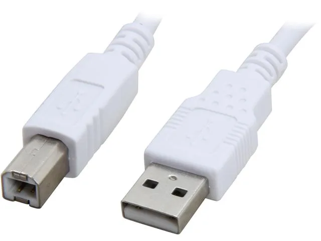Cables To Go Cables To Go 13172 USB 2.0 A Male to B Male cable 6.6 ft — product photo