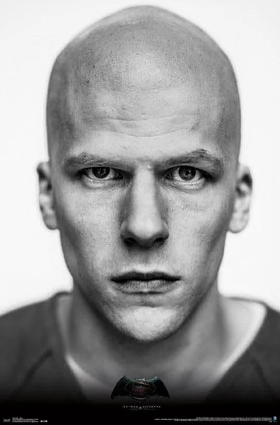 Batman vs Superman Luthor poster print 22 x 34 inches on heavy paper