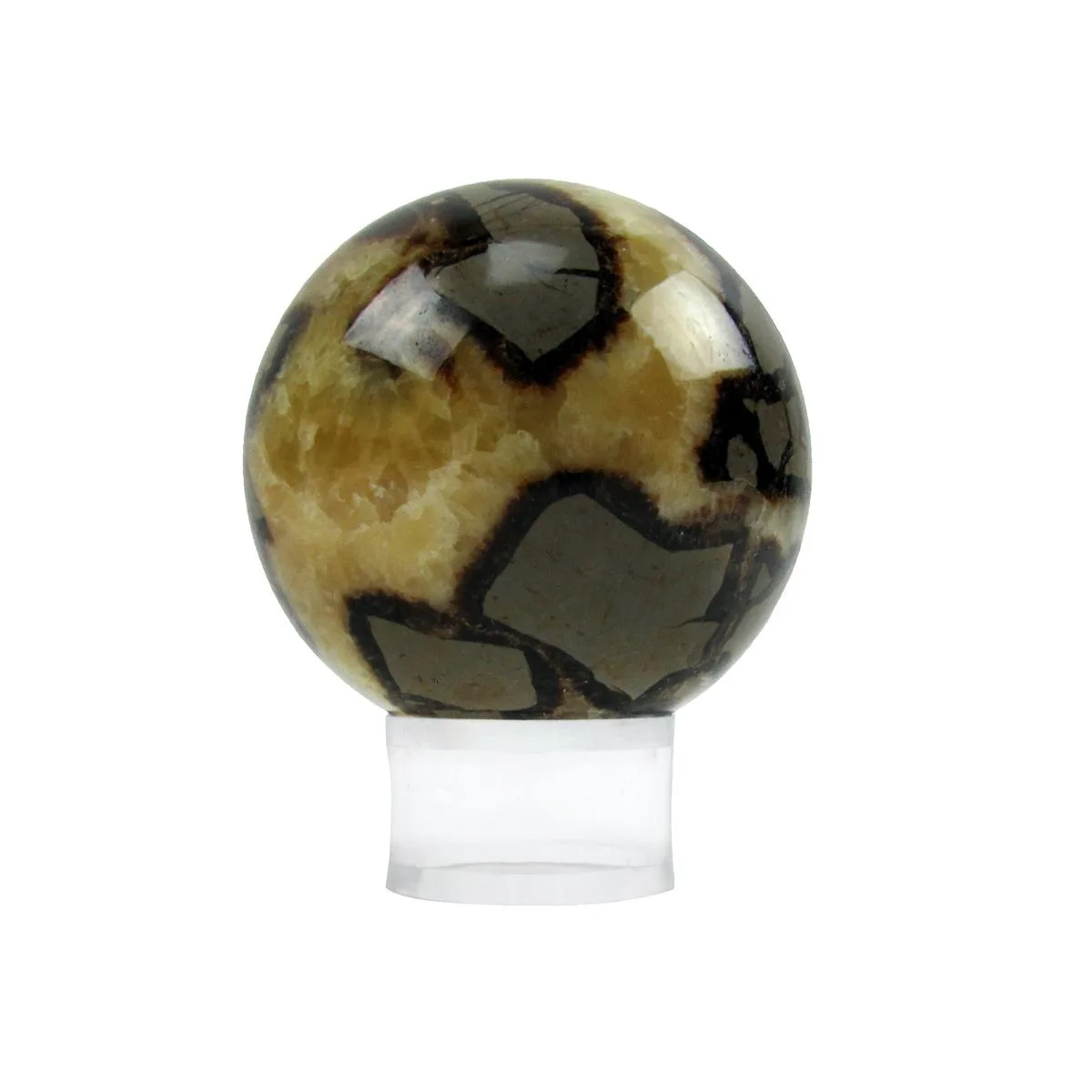 Clear acrylic ring stand, 1.5 inch diameter, beveled edge for spheres