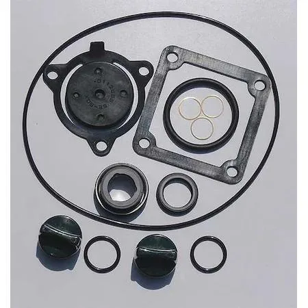 Zoro Select Buna seal kit for 24D038 pump
