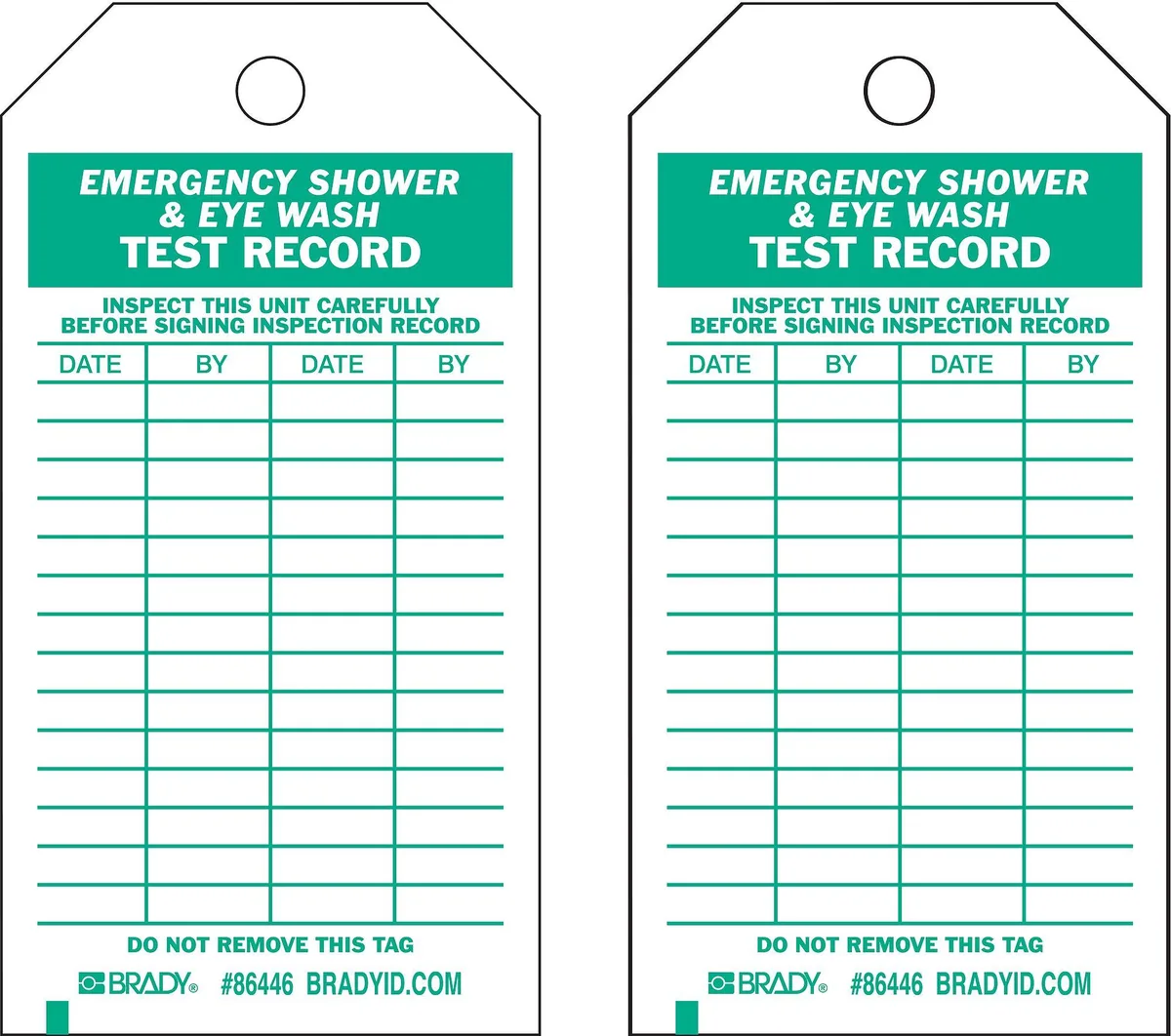 Pack of ten laminated polyester test tags, 7 in high with metal reinforced holes and cable ties