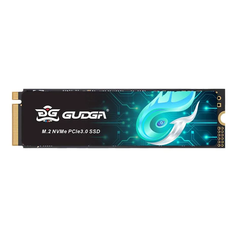 GUDGA GUDGA GVR 1TB PCIe 3.0 x4 NVMe internal SSD — product photo