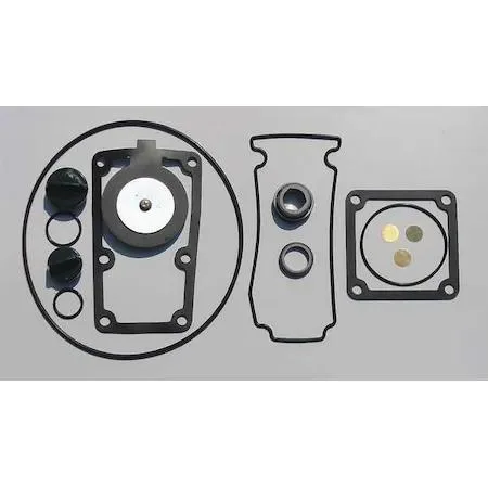Zoro Select Buna seal kit for pump 11G239