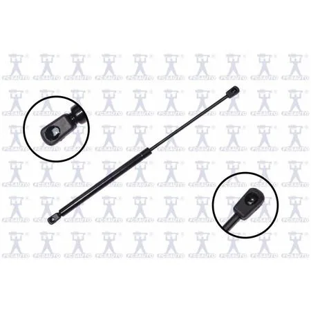 FCS Struts 84647 transparent lift support tailgate