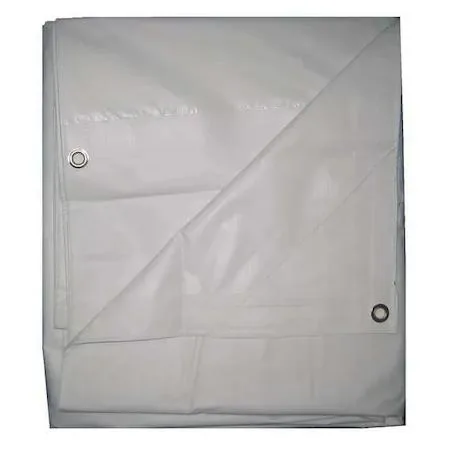Value Brand Value Brand Tarp Vinyl 20 x 30 ft 15 mil Standard Duty White — product photo