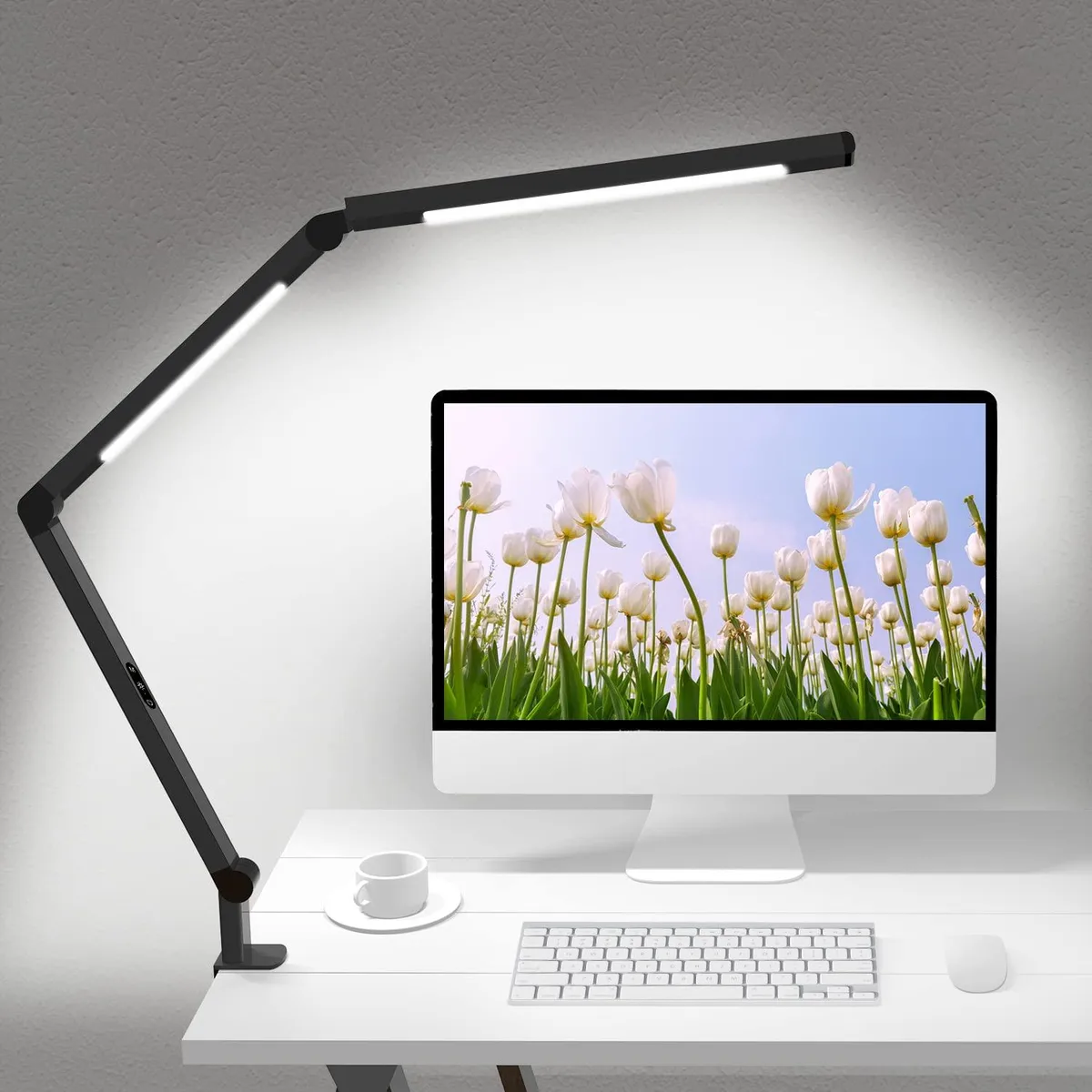 DNBeffulgent DNBeffulgent DDL-003-12W LED Desk Lamp 12 W 46 in Black — product photo