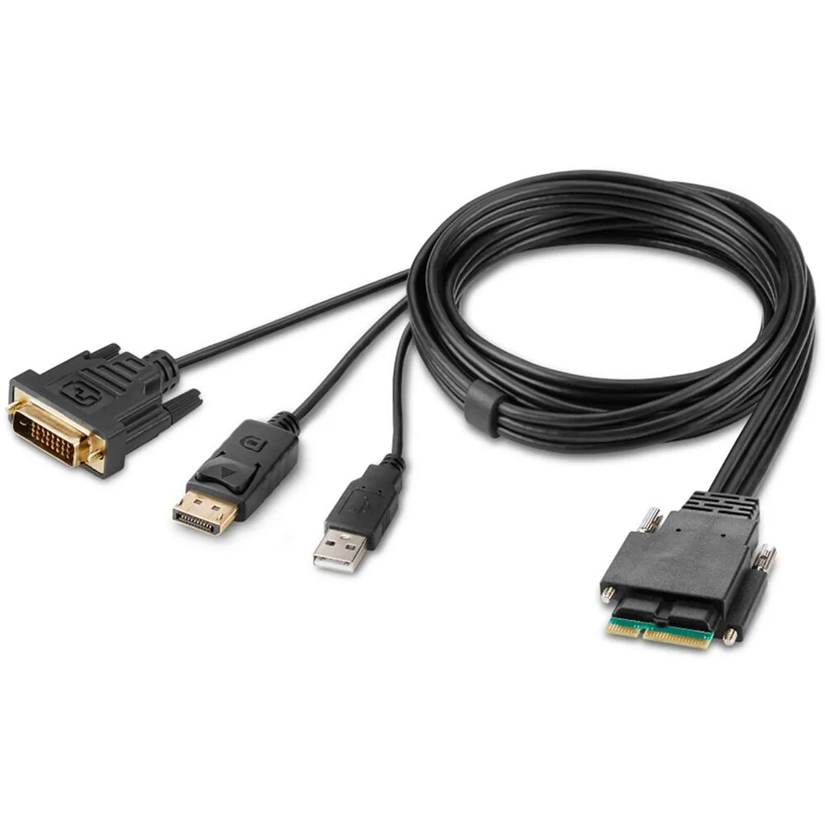 Belkin Belkin F1DN2MOD-HC-DP6 6 ft KVM Cable — product photo