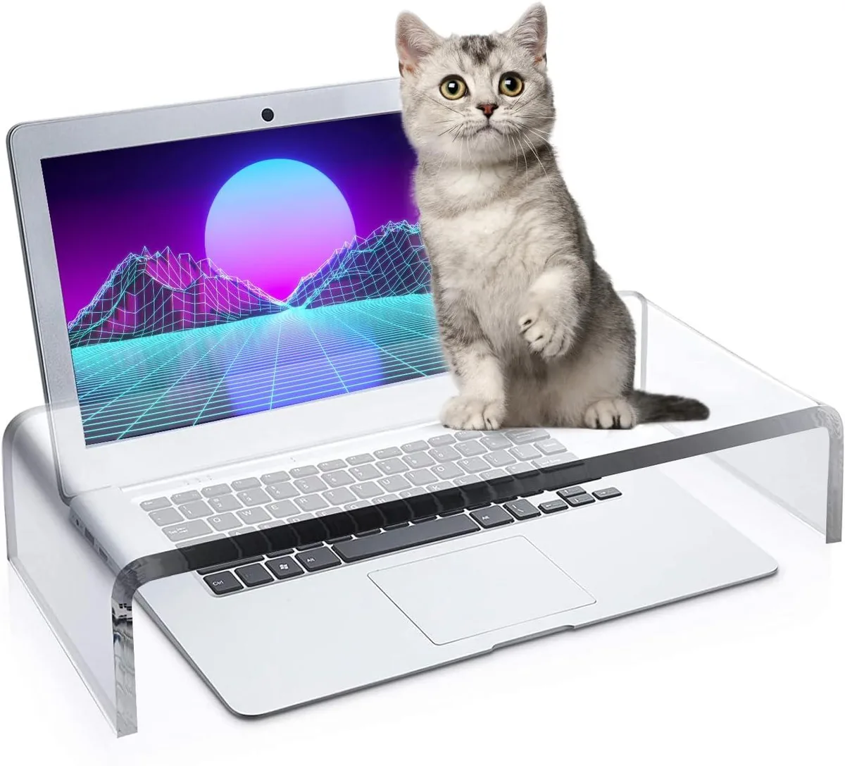 PISKEKAT PISKEKAT Acrylic Monitor Stand Riser 16 inch Anti-Cat Keyboard Cover 10 Bumpers — product photo