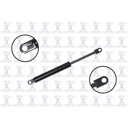 FCS Struts 84034 transparent lift support hood, new condition