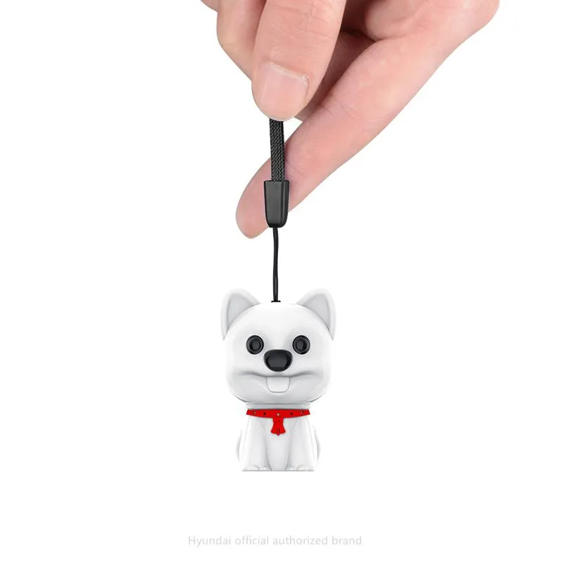 Hyundai IT Corp. Hyundai IT Corp. E300 16GB White Voice Recorder — product photo
