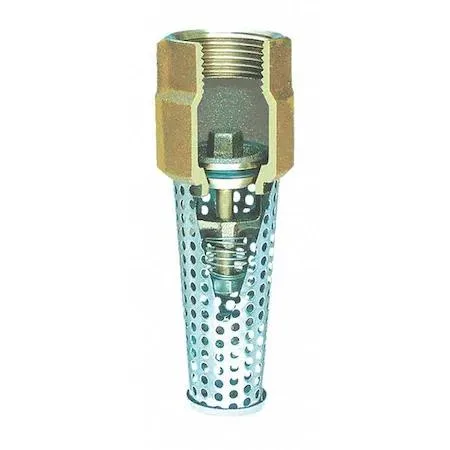 Bronze inline foot valve with stainless strainer, 3/4 inch FNPT connections