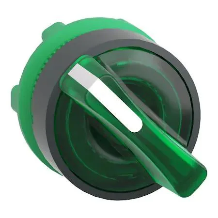 Schneider Electric Schneider Electric ZB5AK1433 Illuminated Selector Switch 2 Pos 22 mm Green — product photo