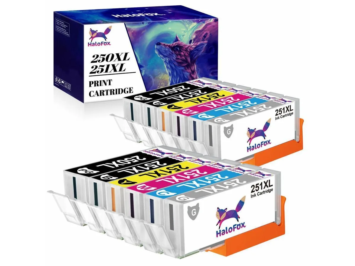 V4ink V4ink 12-pack PGI-250 CLI-251 XL ink cartridges with grey — product photo