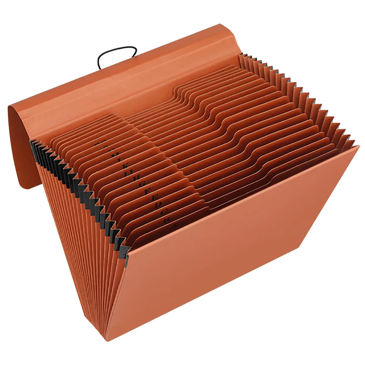 Translucent accordion file with 21 pockets, elastic cord closure, letter size