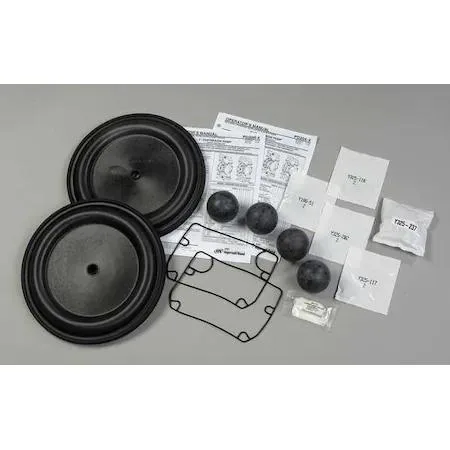 Aro Aro 637373-TT Fluid End Repair Kit PTFE Ball 4 Check Balls 4 Diaphragms 20 O-Rings 28 Seals 120 psi — product photo