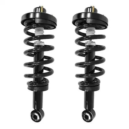 Two complete rear strut assemblies with coil springs and mounts for Ford Expedition and Lincoln Navigator