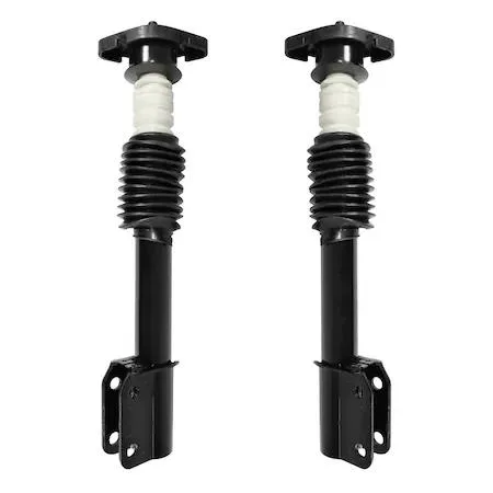 Pair of complete rear strut assemblies in silver finish