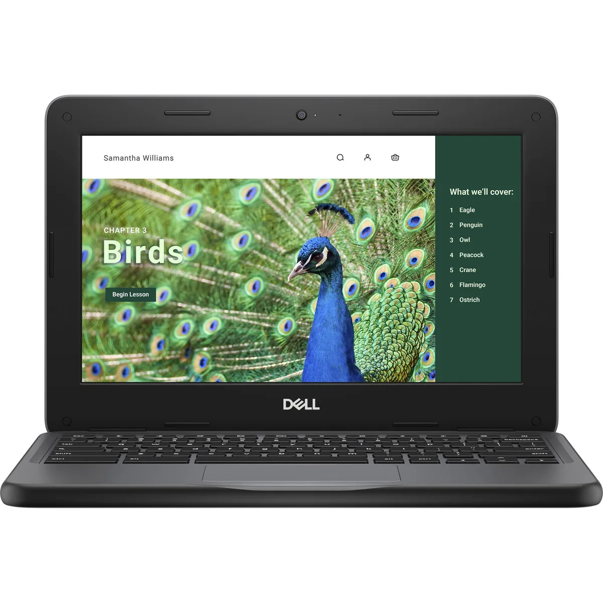 DELL Dell Chromebook 3000 3120 11.6" laptop Intel N100 8 GB 64 GB — product photo