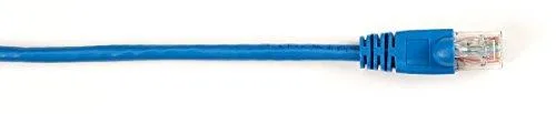 Blue stranded patch cable, six feet long