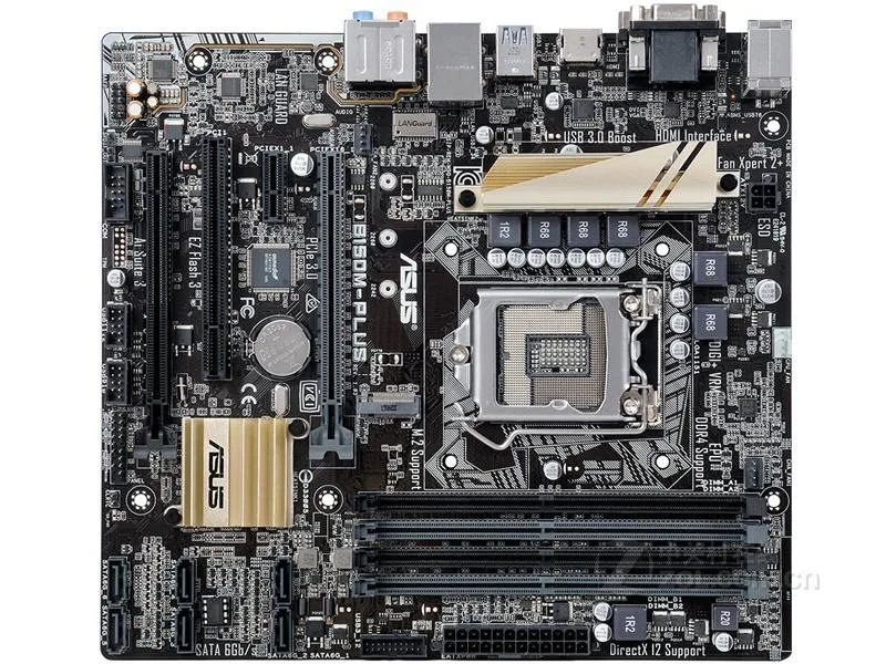ASUS ASUS B150M-PLUS Intel B150 motherboard LGA 1151 DDR4 64GB — product photo