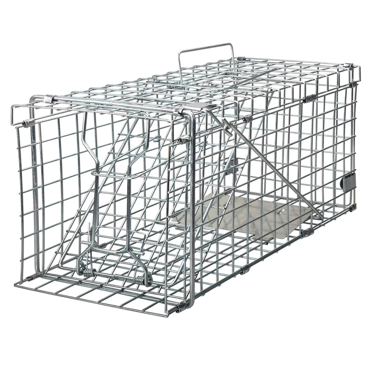 Galvanised iron cage trap, rectangular mesh, folding flat to 20 x 7.9 x 1.6
