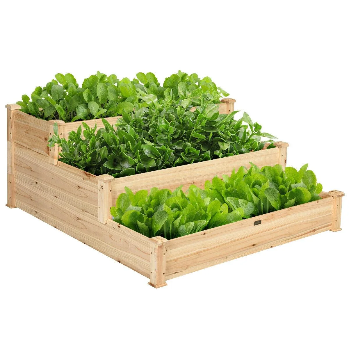SlickBlue SlickBlue 3 Tier Elevated Wooden Vegetable Garden Bed 49" x 49" x 22" .8" Fir — product photo
