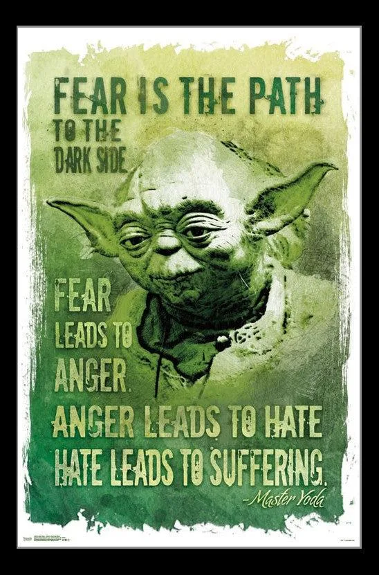Star Wars Path To The Dark Side poster print 22 by 34 inches on heavy paper