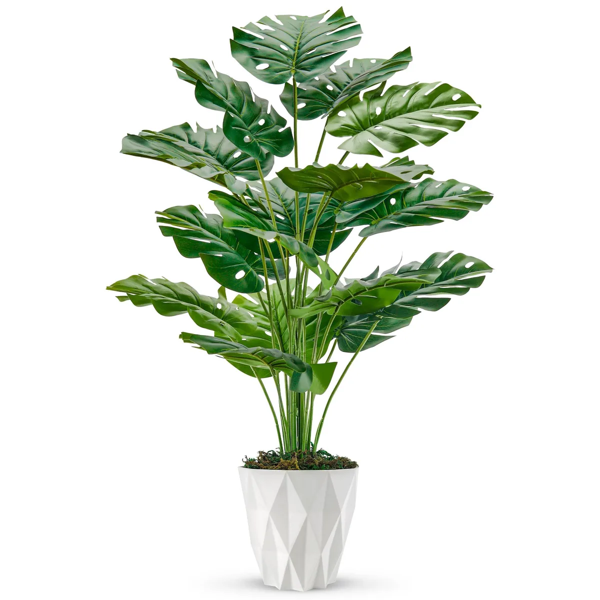 28-inch artificial Monstera in white diamond planter 5.3 inches high and wide