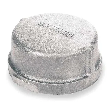 Value Brand Value Brand 2-1/2" FNPT Galvanized Cap — product photo