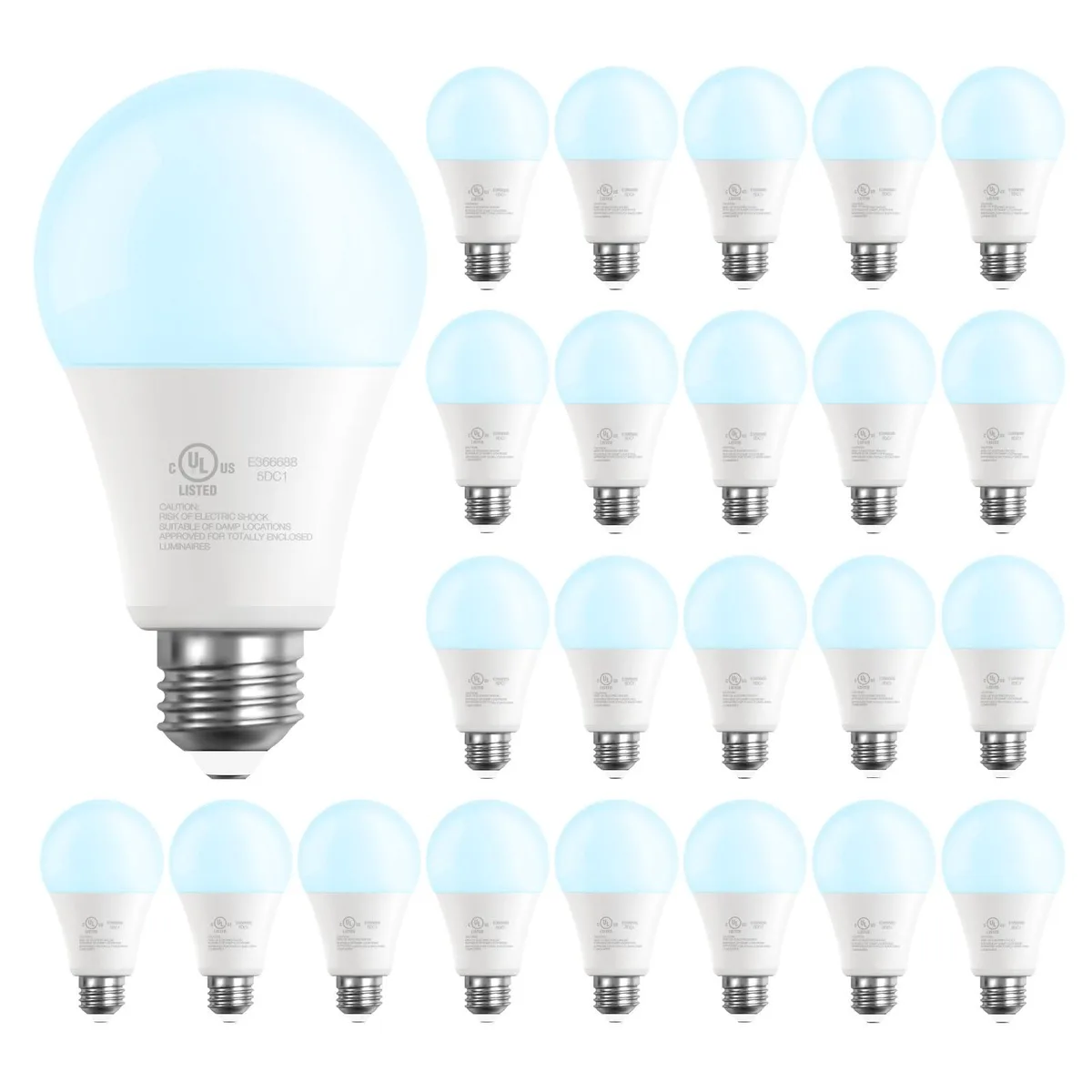 Box of 24 A19 LED bulbs with E26 bases daylight white finish