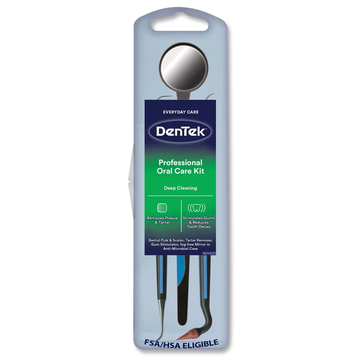 DenTek oral care kit with stainless steel tools, plastic scaler, mirror and case