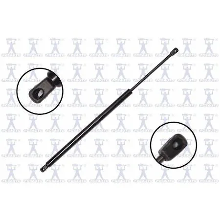 FCS Struts 86377 transparent lift support hatch