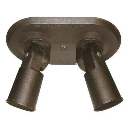 Bronze double PAR38 light kit with two adjustable heads surface mounted