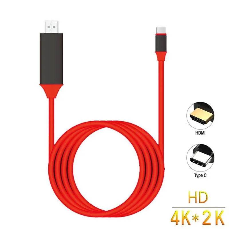 Two-metre black cable with USB-C and Micro USB plugs