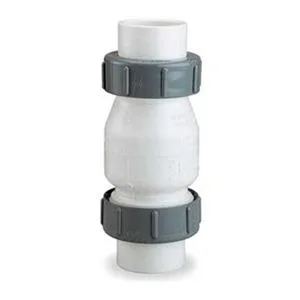 Dayton Dayton 4RG91 2" Compression PVC True Union Swing Check Valve — product photo