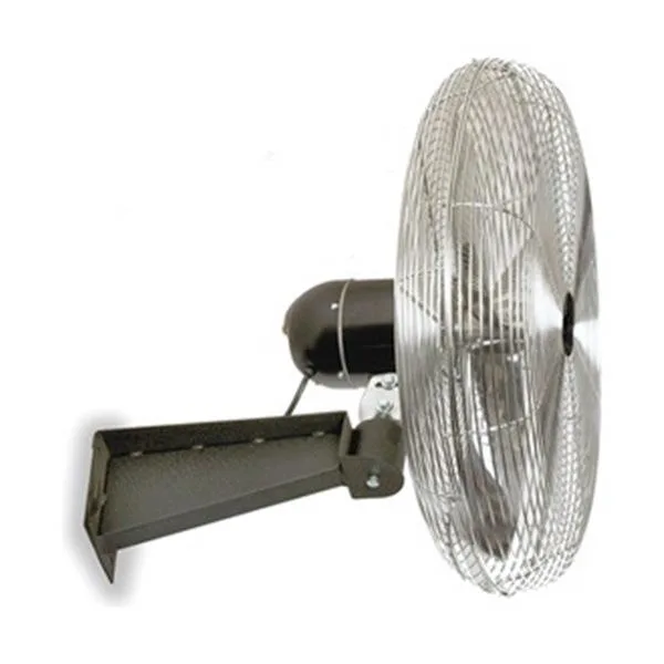 Dayton 24-inch oscillating industrial fan with metal grille and wall-mount bracket