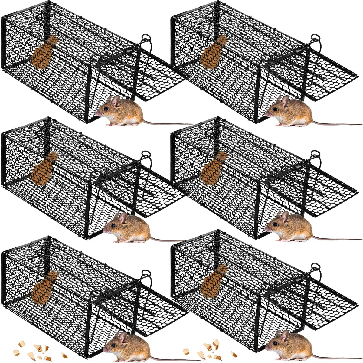 Six foldable black metal cage traps, each about 10.6 by 5 by 5 inches
