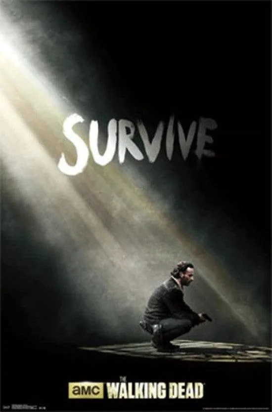 Posterazzi Walking Dead Survive poster print 24 x 36 inches