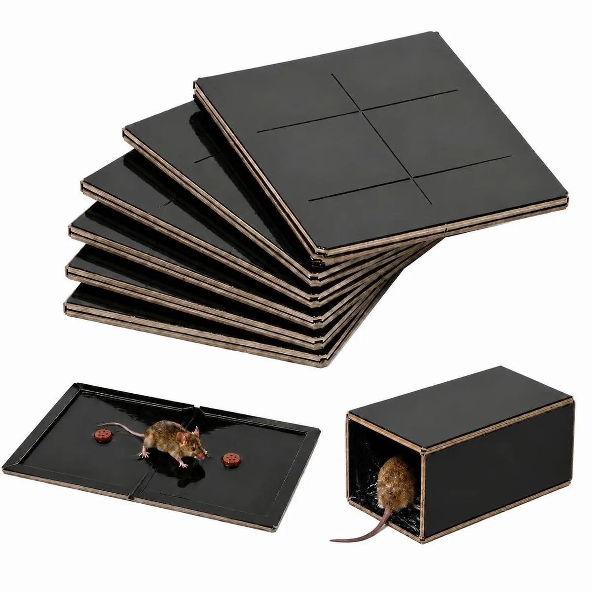 Six flat black cardboard traps with peanut butter scent, each 13.4 by 8.7 inches