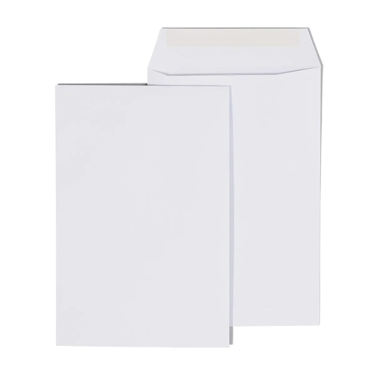 Business Source Business Source 36681 Double Window Envelopes No. 9 500/BX White — product photo