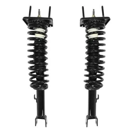 Unity Unity 2-15384-001 Rear Complete Strut Assembly Kit — product photo