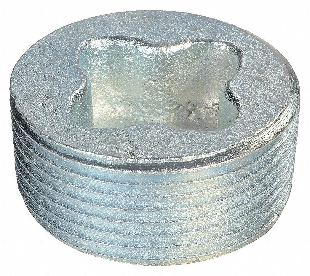Appleton Century Crofts Appleton Century Crofts Iron Conduit Plug 3 in Trade Size 300 — product photo