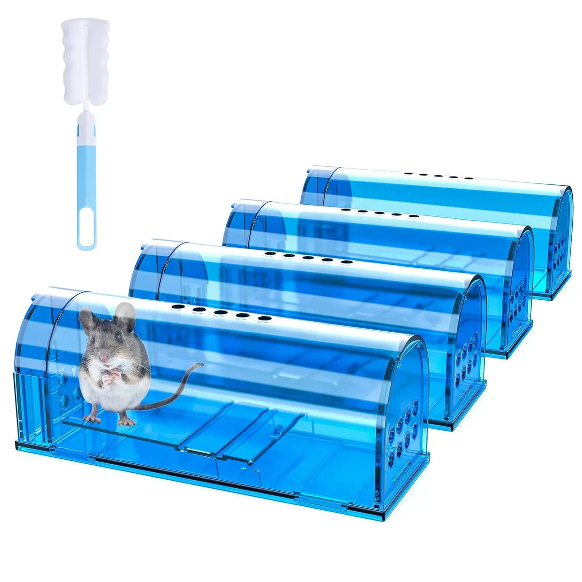 Transparent plastic box trap with spring door and air vents